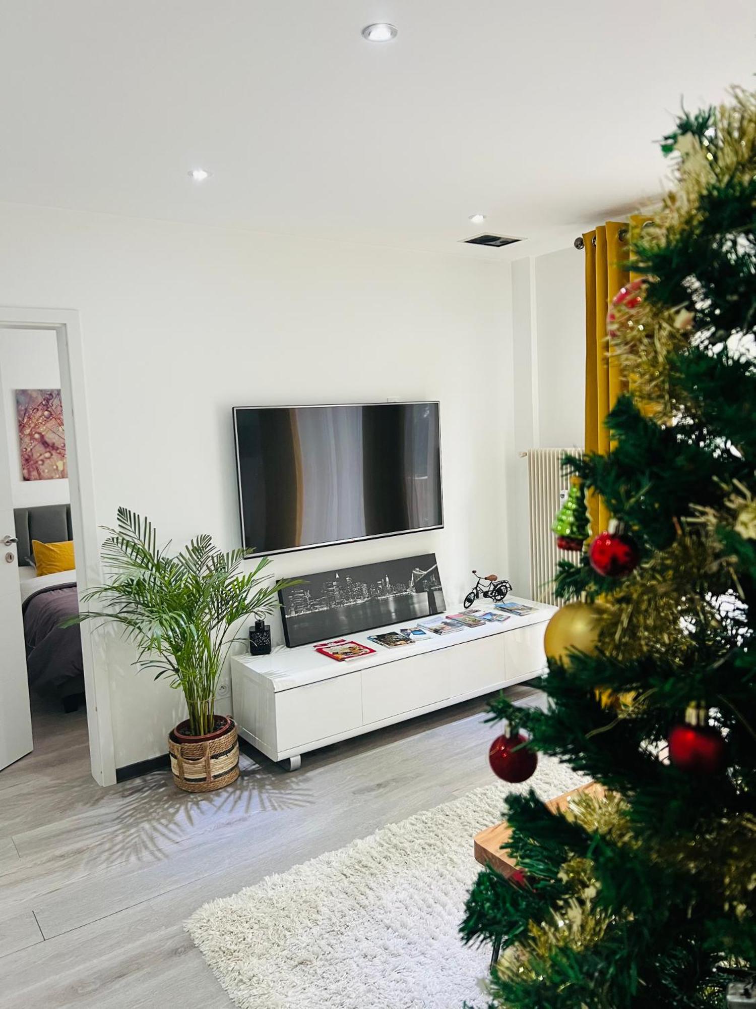 Apartment Superbe Lumineux Avec Parking Gratuit Wintzenheim